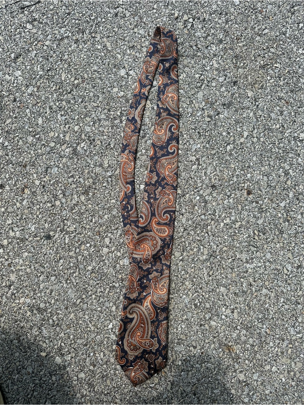 Christian Dior Paris New York cravates Paisley Salk silkTie in Navy and Brown